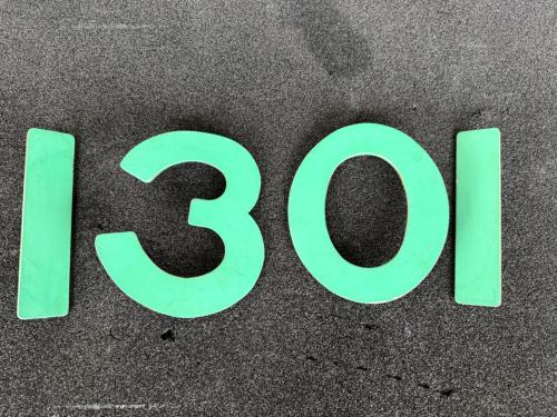 京都市交通局　車号板（1301）