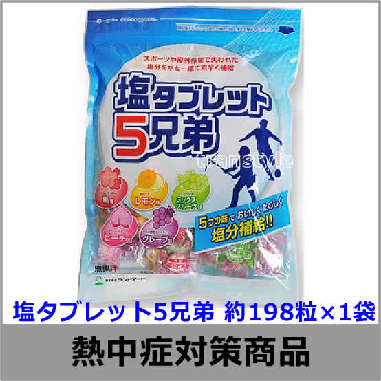 熱中症対策/暑さ対策】 塩タブレット5兄弟 530g×1袋 5味ミックス (HO