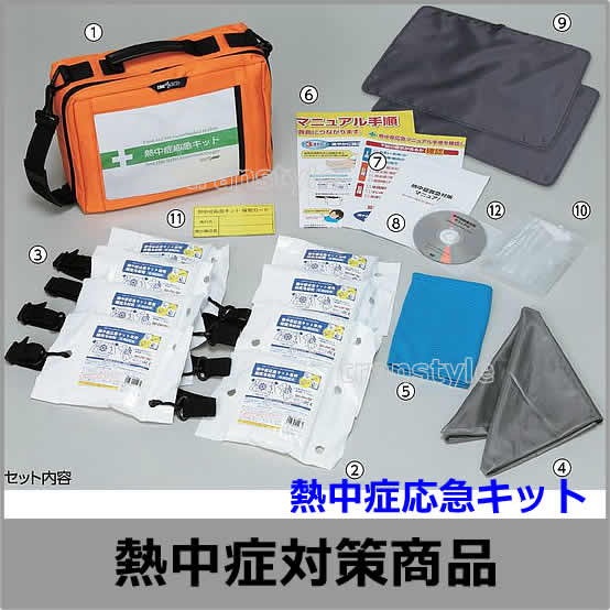 送料無料】【熱中症対策/暑さ対策】 熱中症応急キット（HO-527）【作業