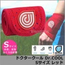 󥰵ǽդץå󥵥ݡDr.COOL