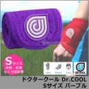 󥰵ǽդץå󥵥ݡDr.COOL