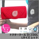 󥰵ǽդץå󥵥ݡDr.COOL