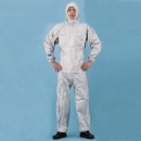 �����ɸ���