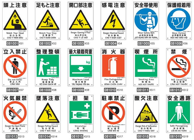 ����ɸ�� �������������ɸ���� ��450��300mm ���٤�20������ �ڰ���ɸ��/��������ȴ��ġ�