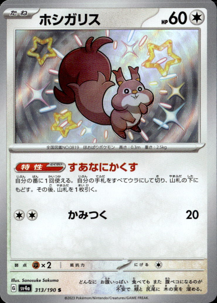 ホシガリス_S_313/190