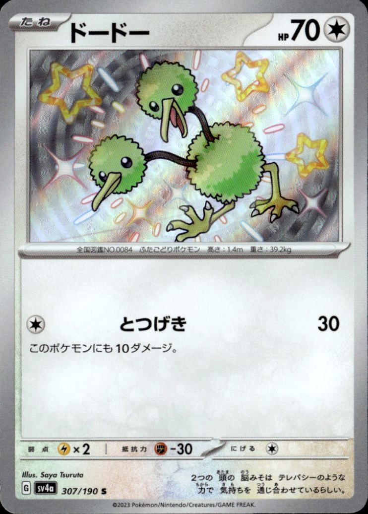 ドードー_S_307/190