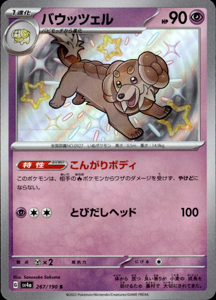 バウッツェル_S_267/190