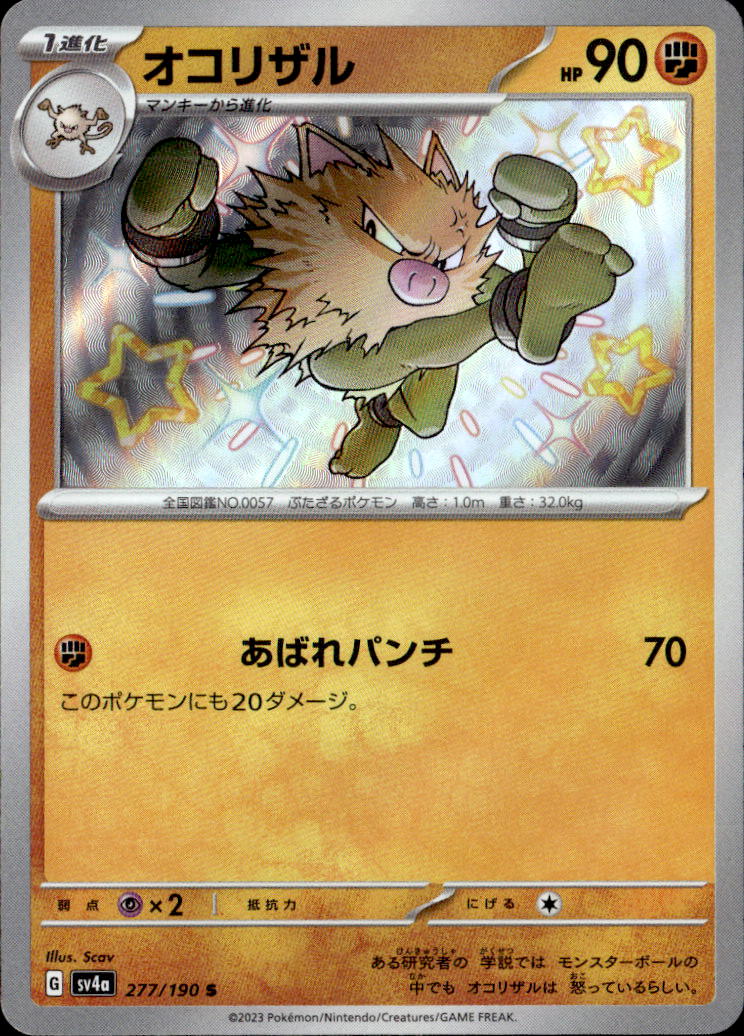 オコリザル_S_277/190