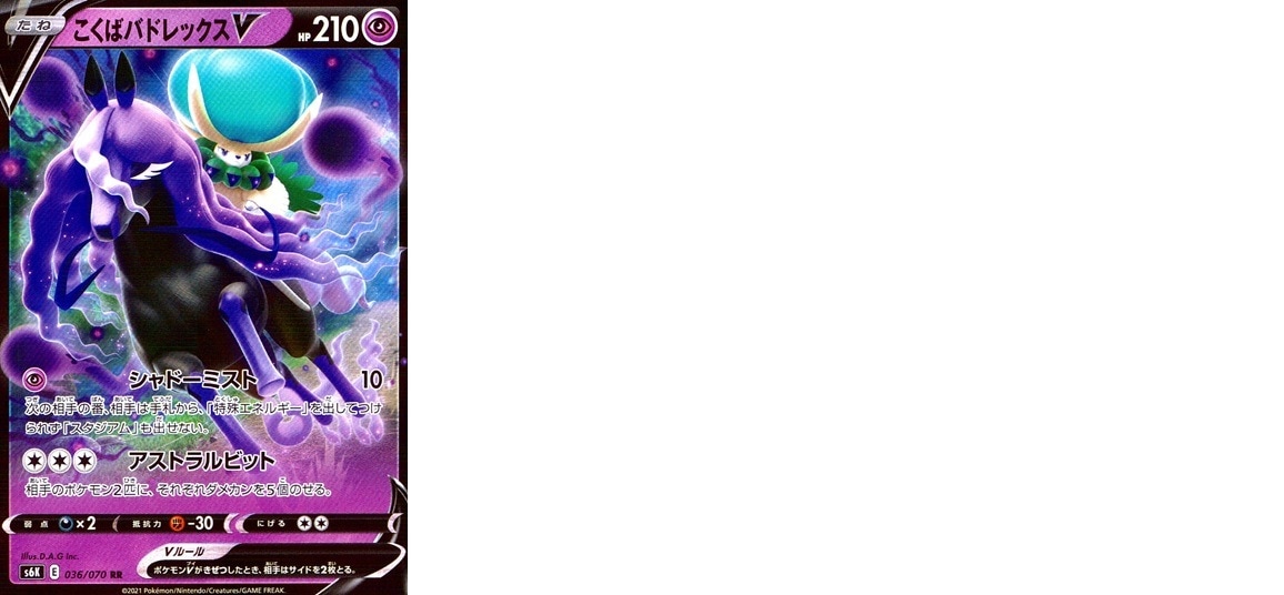 こくばバドレックスV_RR_036/070