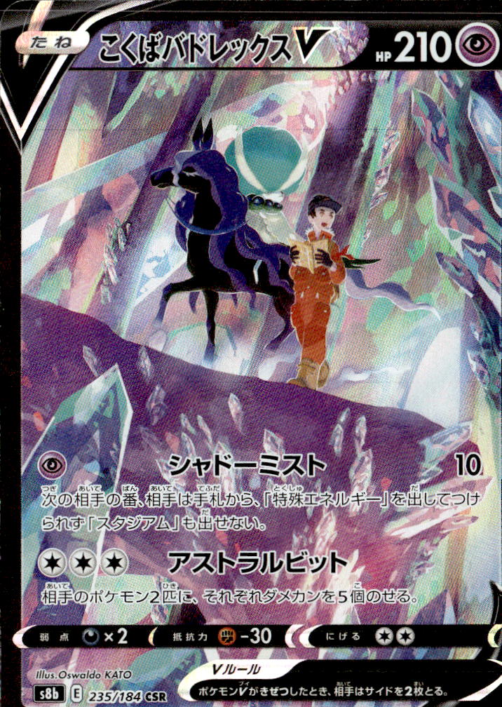 こくばバドレックスV_CSR_235/184