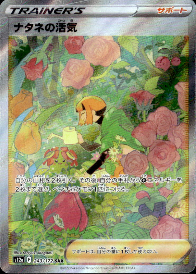 ナタネの活気_SAR_243/172