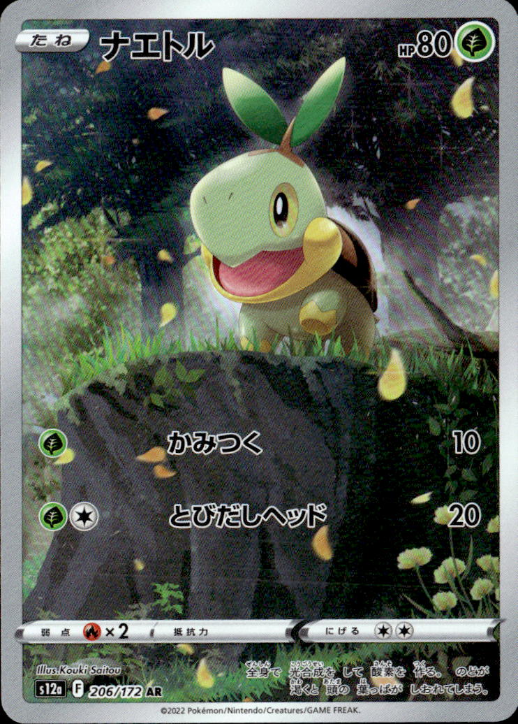 ナエトル_AR_206/172