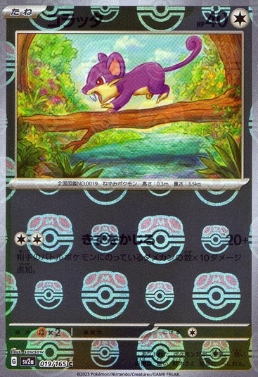 コラッタ（ミラー）_C_019/165