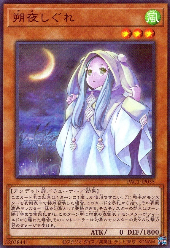 朔夜しぐれ_UR_PAC1JP035URYG