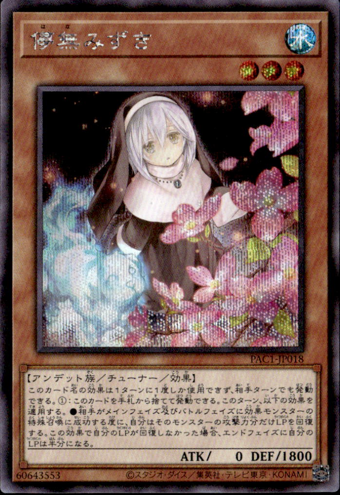 儚無みずき_SC_PAC1-JP018