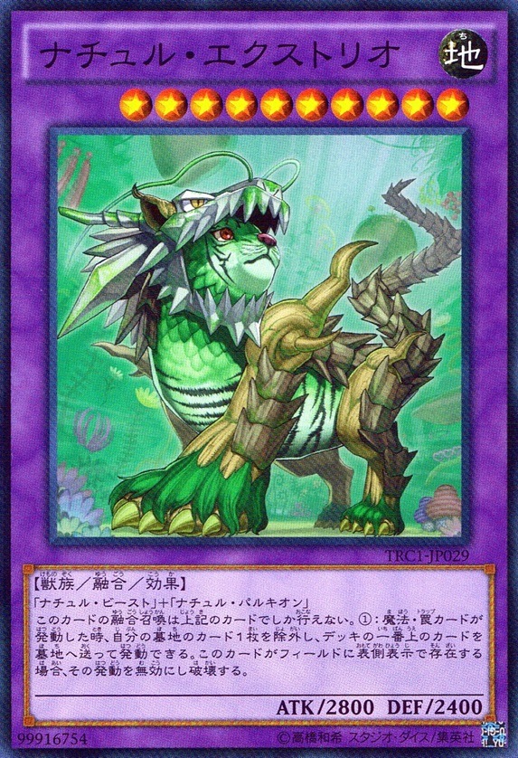 ナチュル・エクストリオ_SR_TRC1-JP029