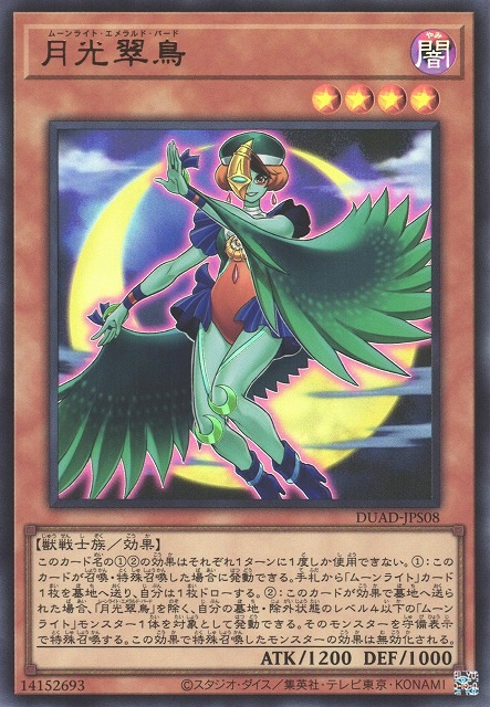 月光翠鳥_UR_DUAD-JPS08