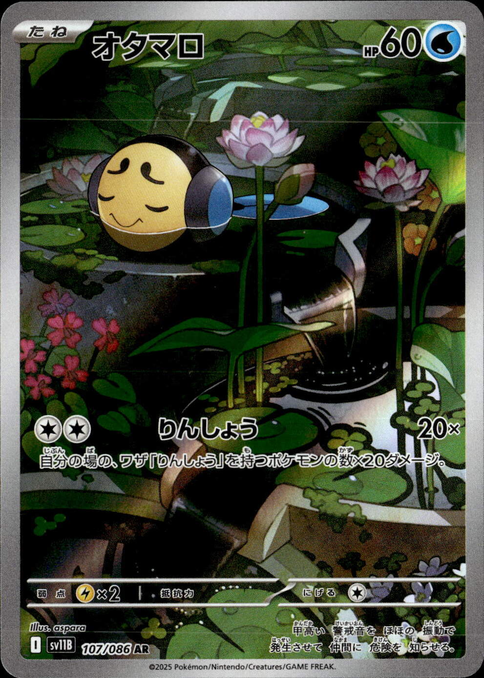 オタマロ_AR_107/086