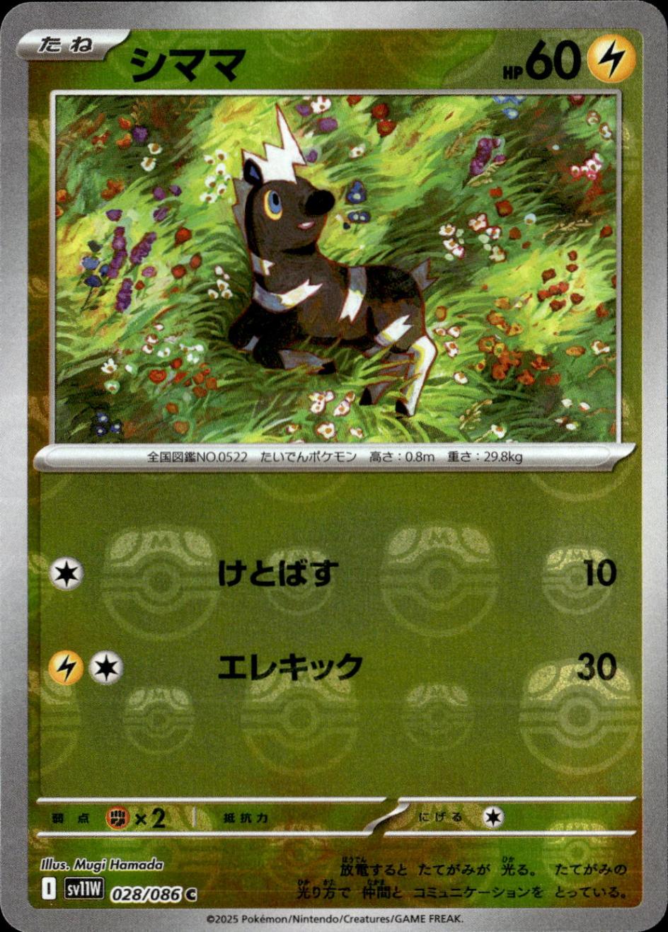 シママ（マスボミラー）_C_028/086