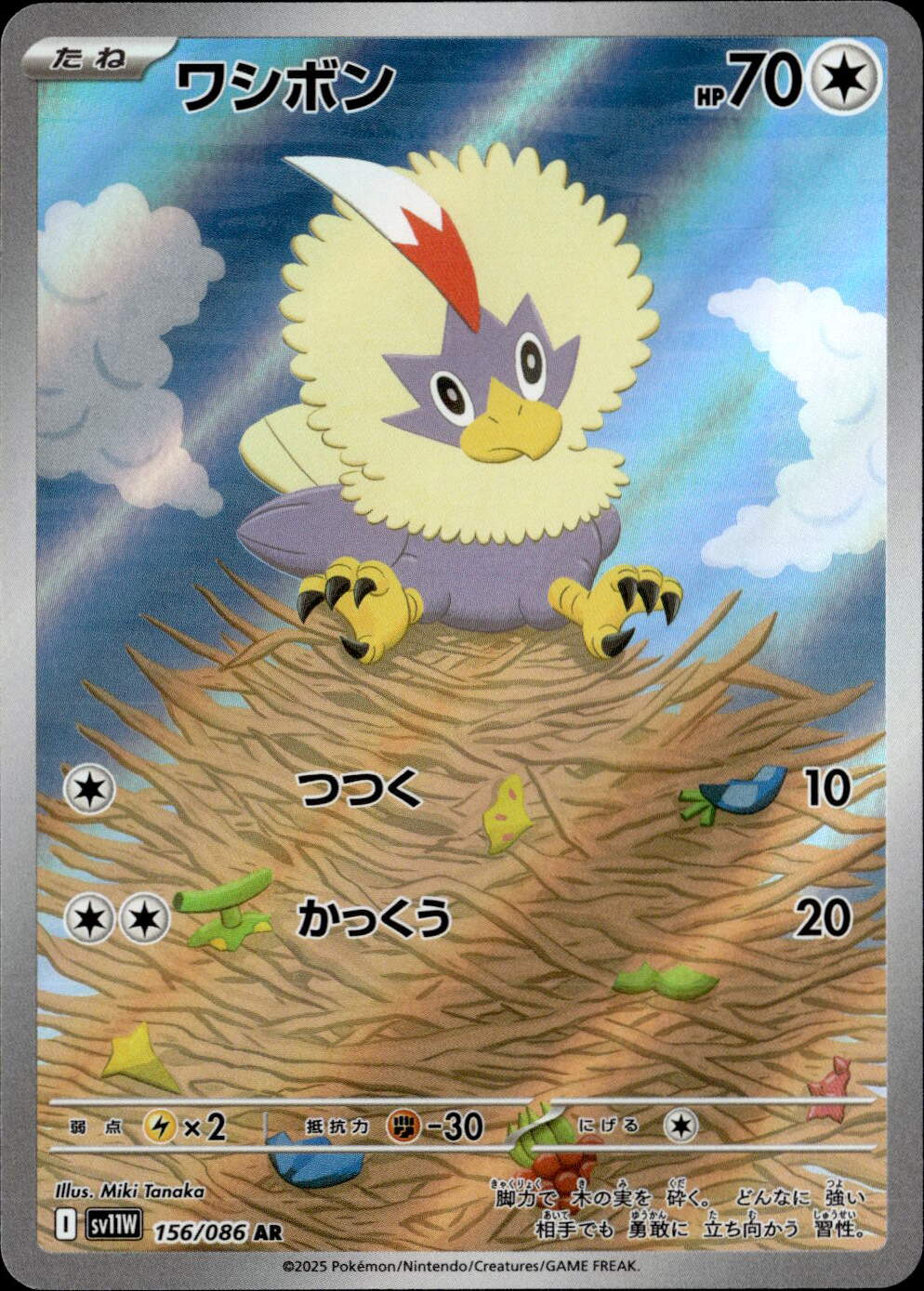 ワシボン_AR_156/086