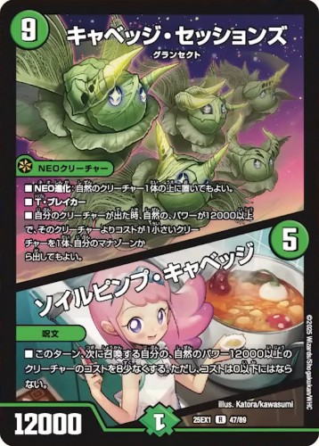 キャベッジ・セッションズ/ソイルピンプ・キャベッジ_R_25EX1-47/89