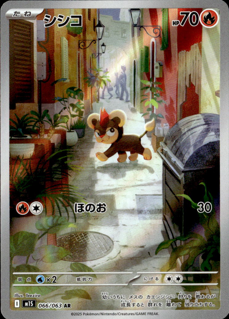 シシコ_AR_066/063
