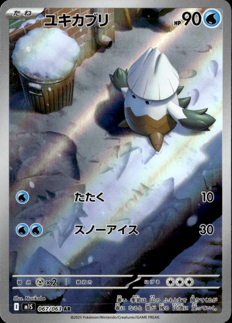 ユキカブリ_AR_067/063