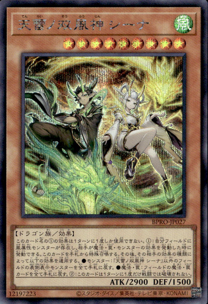 天雷ノ双風神 シーナ_SE_BPRO-JP027