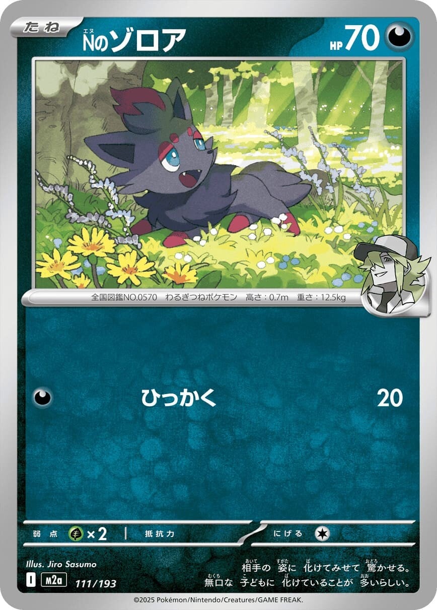 Nのゾロア111/193
