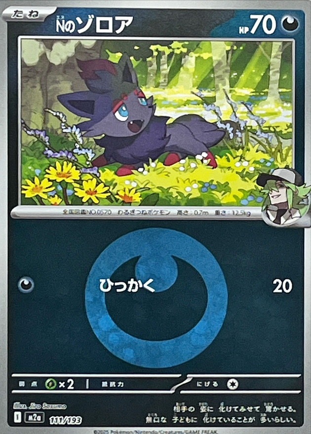 Nのゾロア（悪エネ）111/193