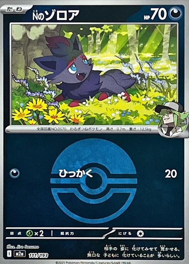 Nのゾロア（モンスターＢ）_111/193