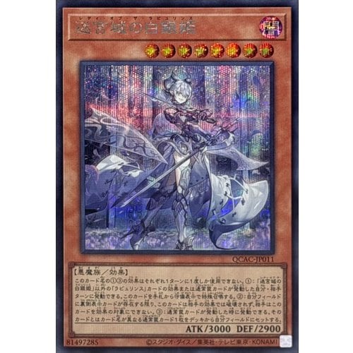 迷宮城の白銀姫