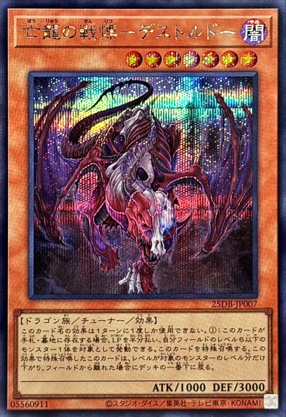 亡龍の戦慄－デストルドー_SE_25DB-JP007