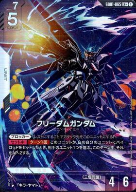 フリーダムガンダム_LR+_GD01-065