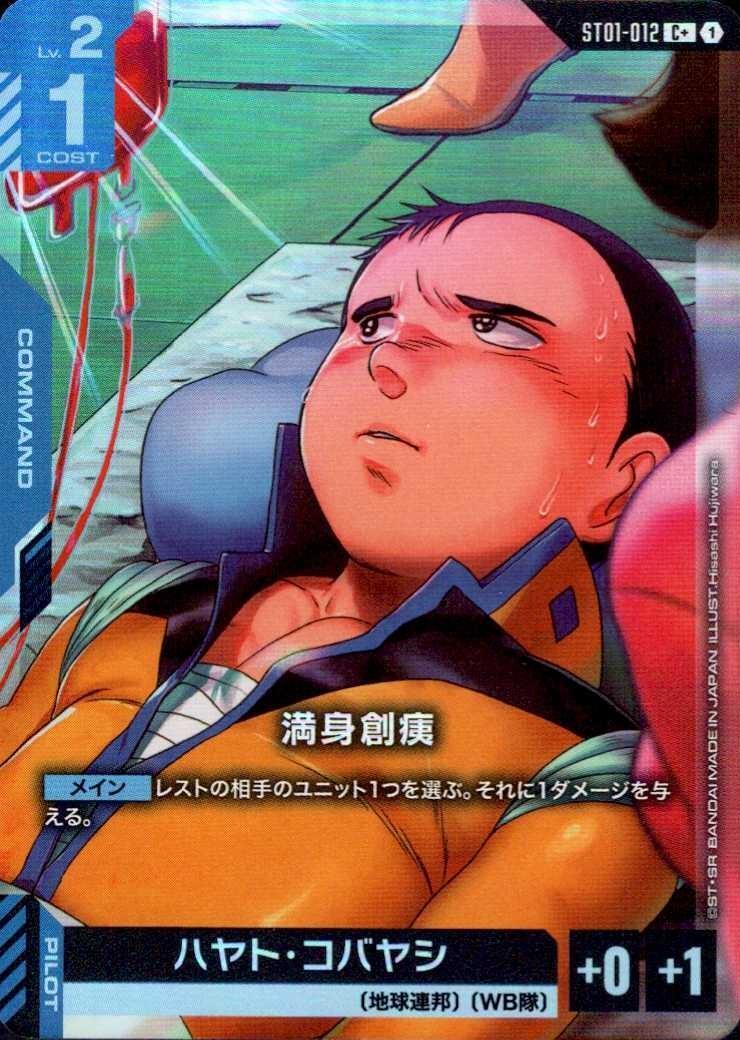 満身創痍〈Hisashi Hujiwara〉_C+_ST01-012