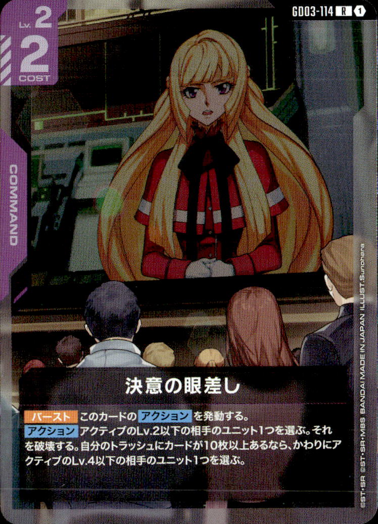 決意の眼差し_R_GD03-114