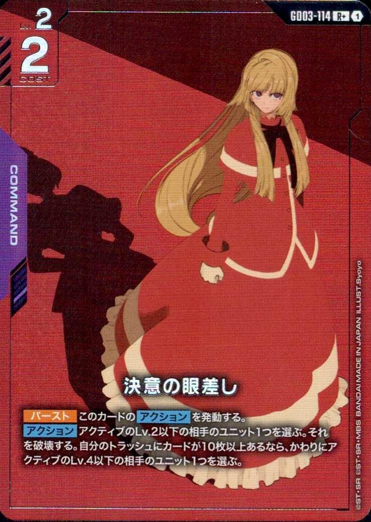 決意の眼差し_R+_GD03-114