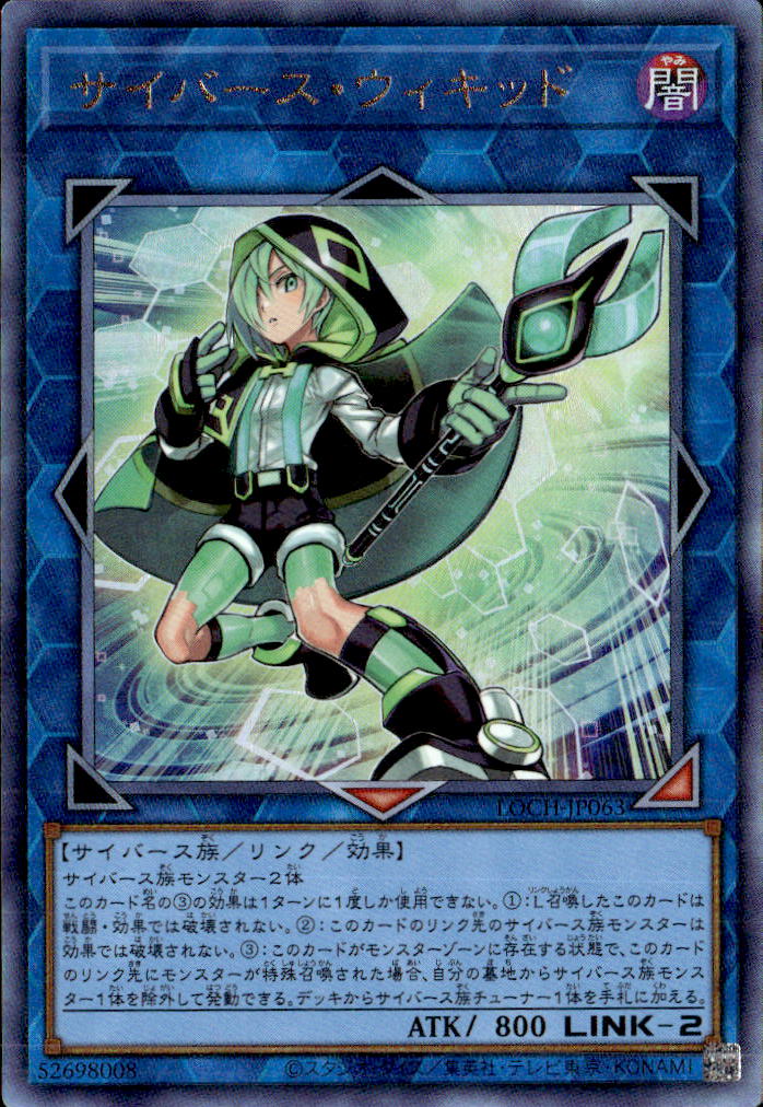 サイバース・ウィキッド_UL_LOCH-JP063