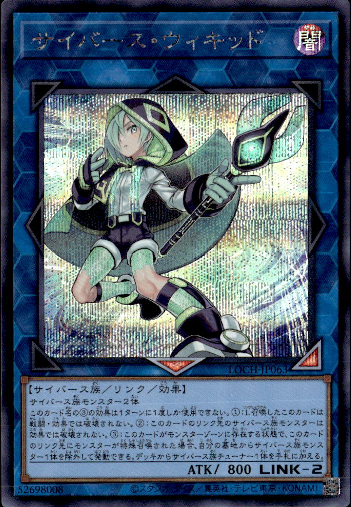 サイバース・ウィキッド_SE_LOCH-JP063