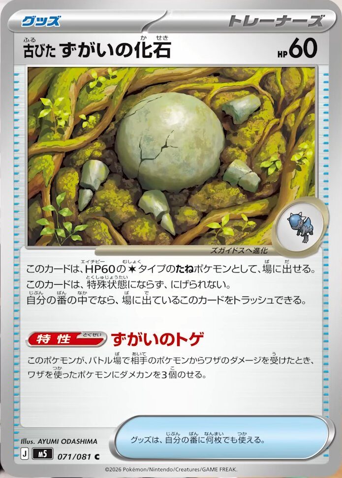 古びたずがいの化石_C_071/081