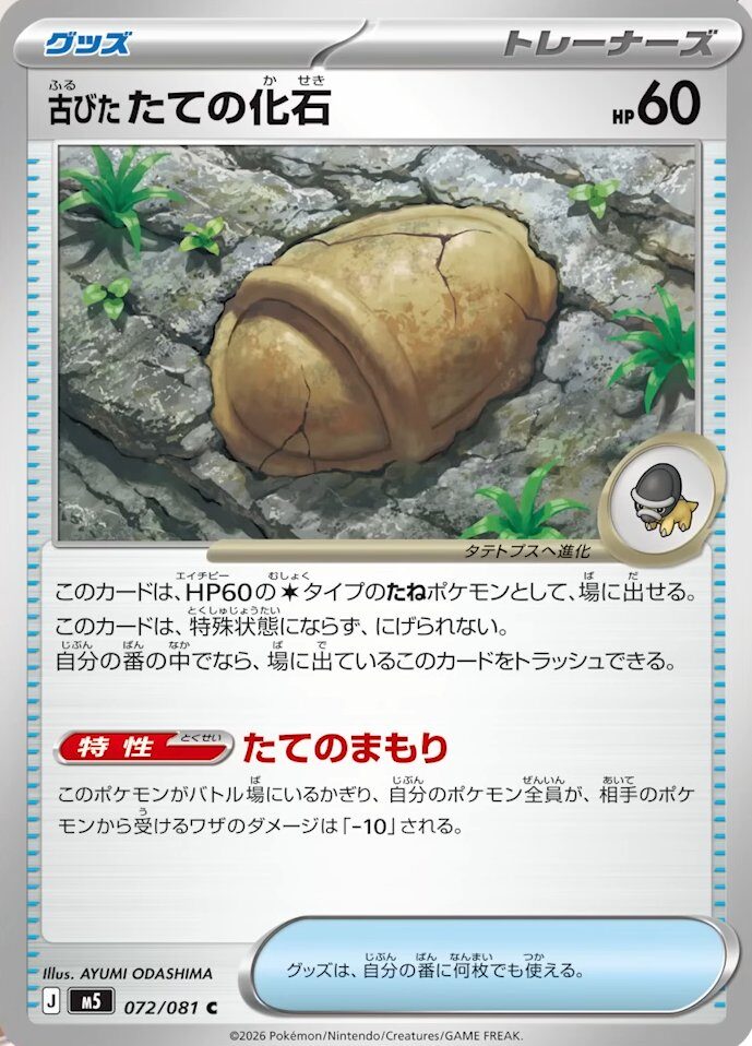 古びたたての化石_C_072/081