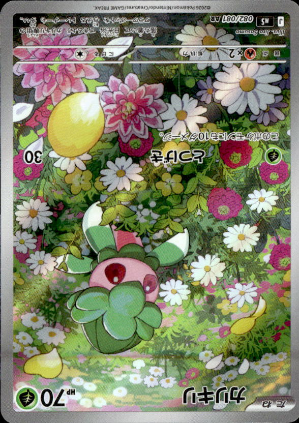 カリキリ_AR_082/081