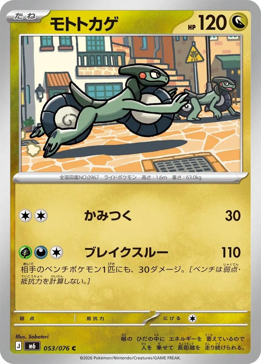 モトトカゲ_C_053/076