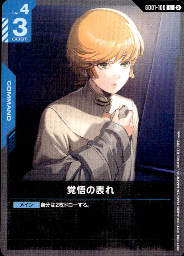 PSA10GUNDAM 覚悟の表れ8674 2）覚悟の表れ_U_GD01-100 のトレカ通販 | トレカエース