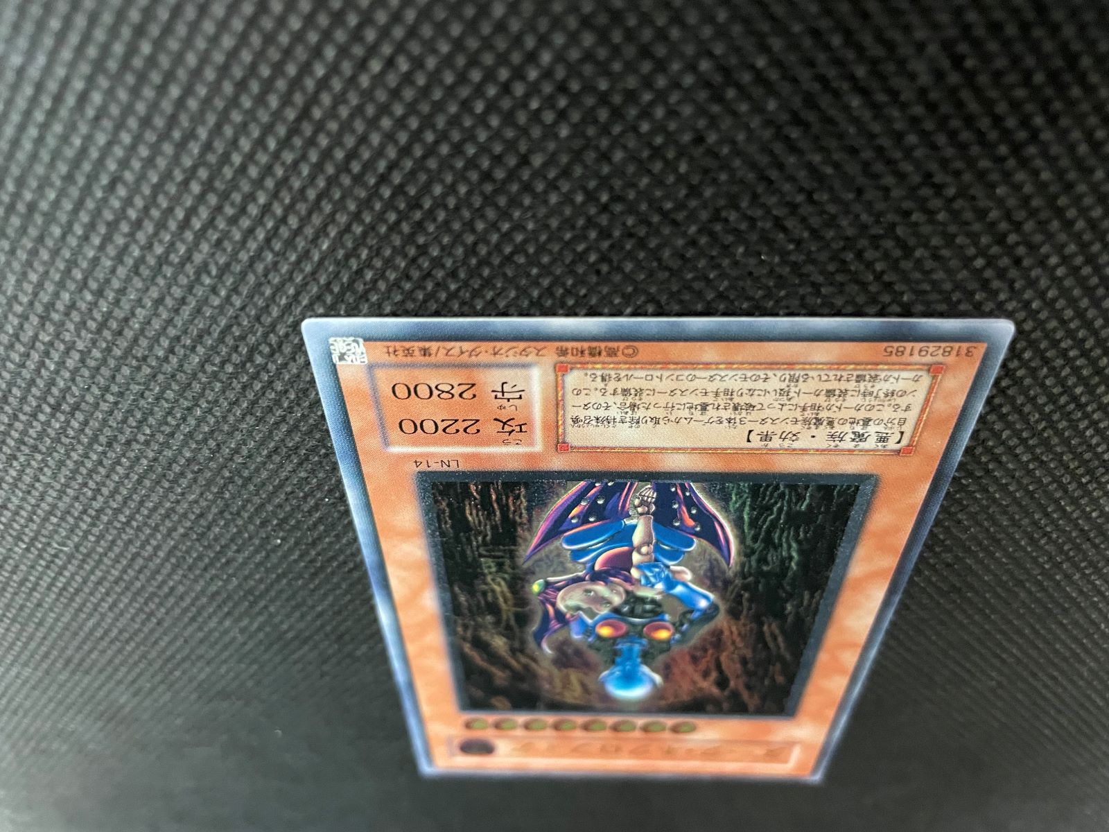 ダーク・ネクロフィア_UL_LN-14