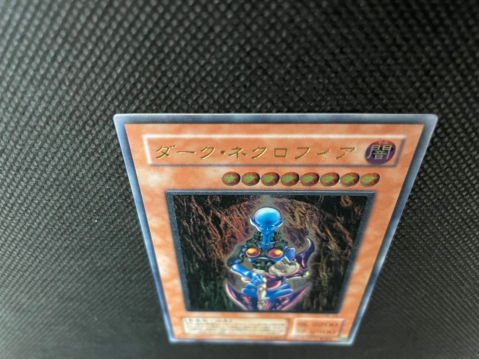 ダーク・ネクロフィア_UL_LN-14