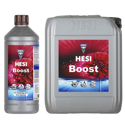 HESI BOOST