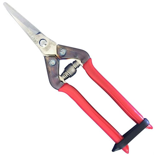 近正】 剪定・収穫ハサミ 曲刃 T-55SR | 園芸ツール,ハサミ類 | Tree