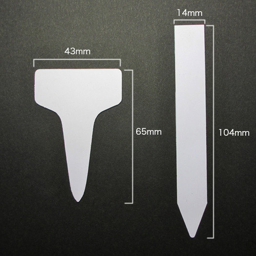 �͡���ץ졼�� 10�祻�åȡ�T�����ס����ƥ����ס�