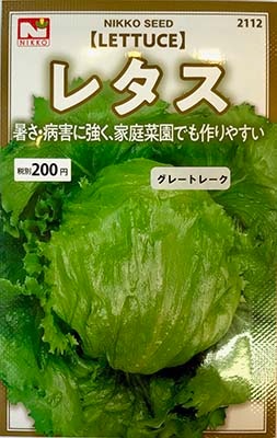 レタス 玉ちしゃ 植物 種 種 野菜 Tree People
